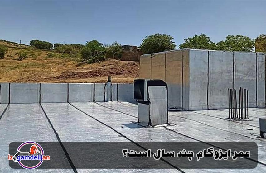 دشمن عمر ایزوگام
